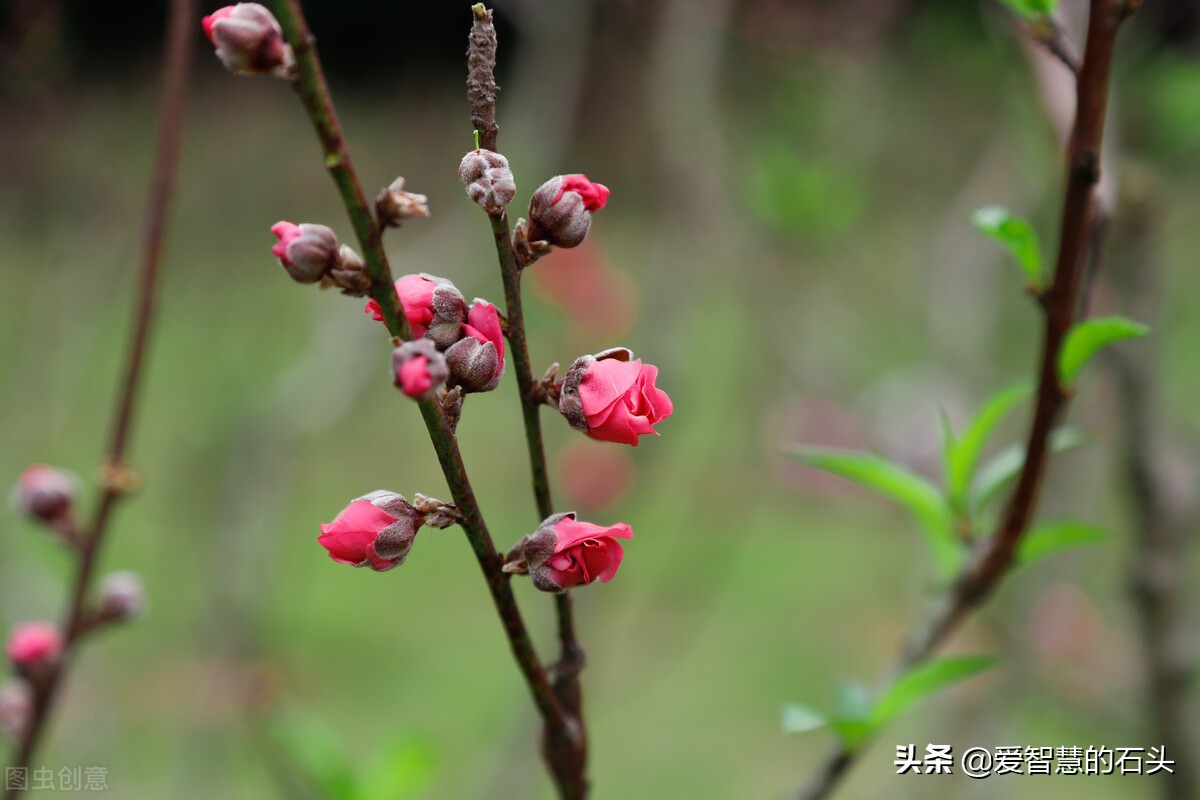 讨厌一个人用不着翻脸的文章,面对很讨厌的人用不着翻脸