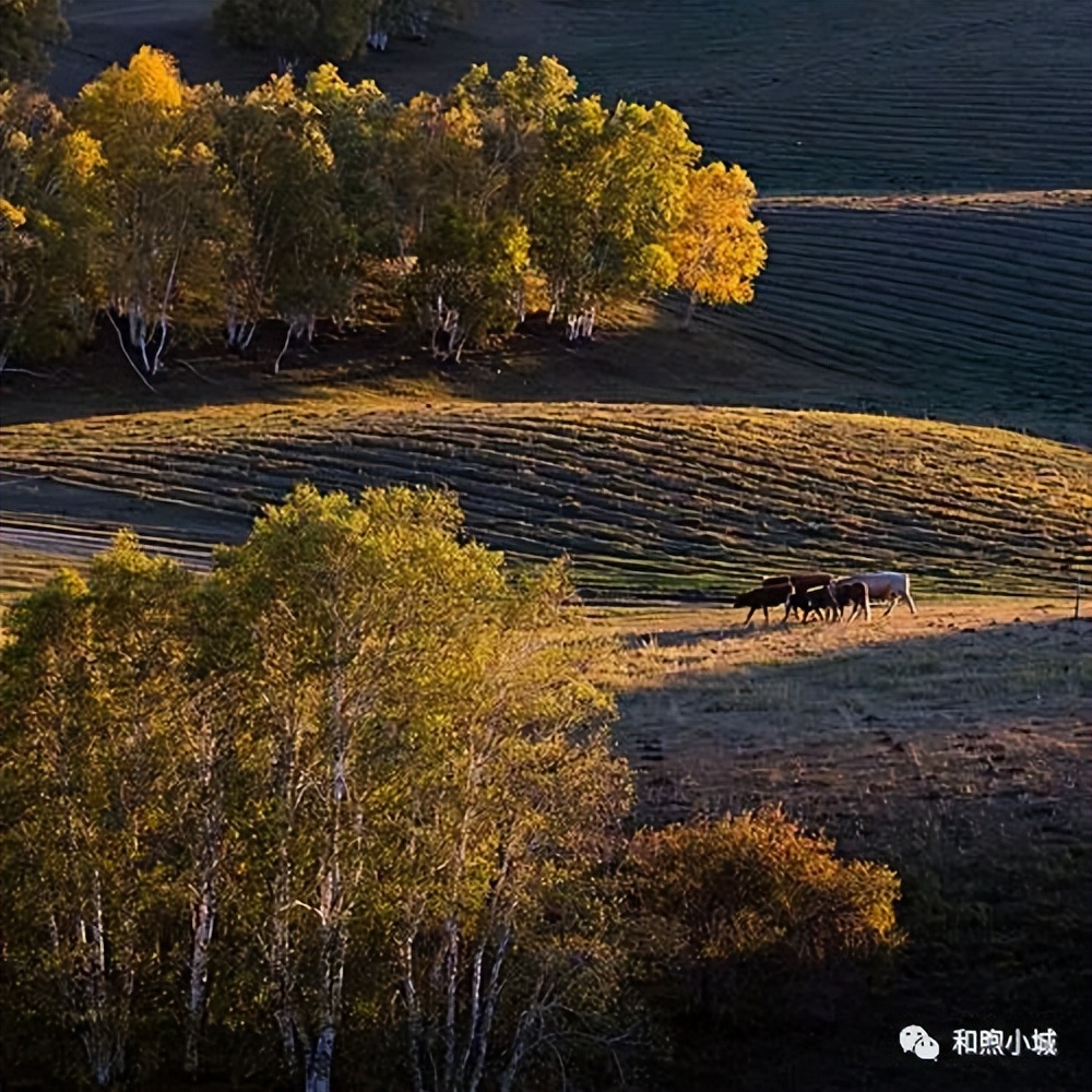 河北坝上草原秋季美景,河北最好的坝上草原
