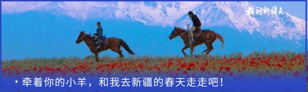 入疆旅游攻略,环疆旅游攻略大全