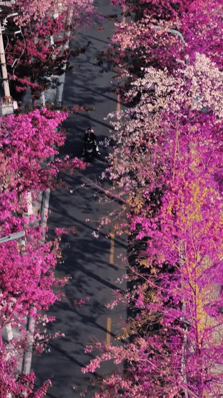 对的时间去对的地方,对的时间和对的人一起旅游