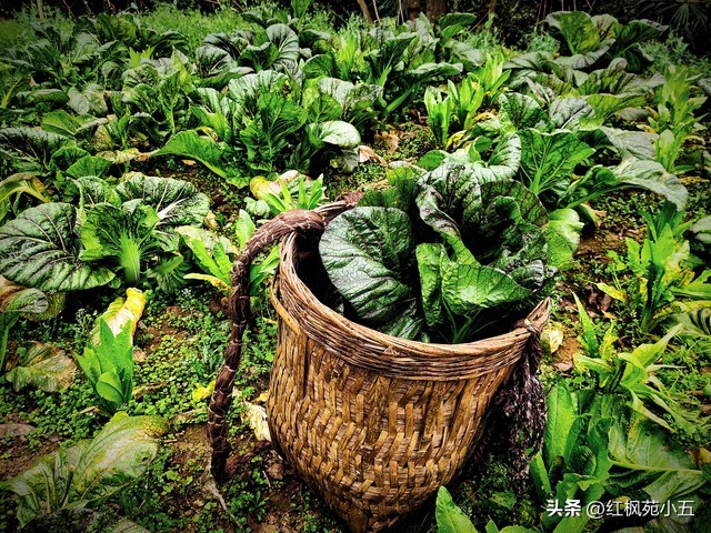 小时候劳累过度后遗症,小时候劳动人民烧火做饭