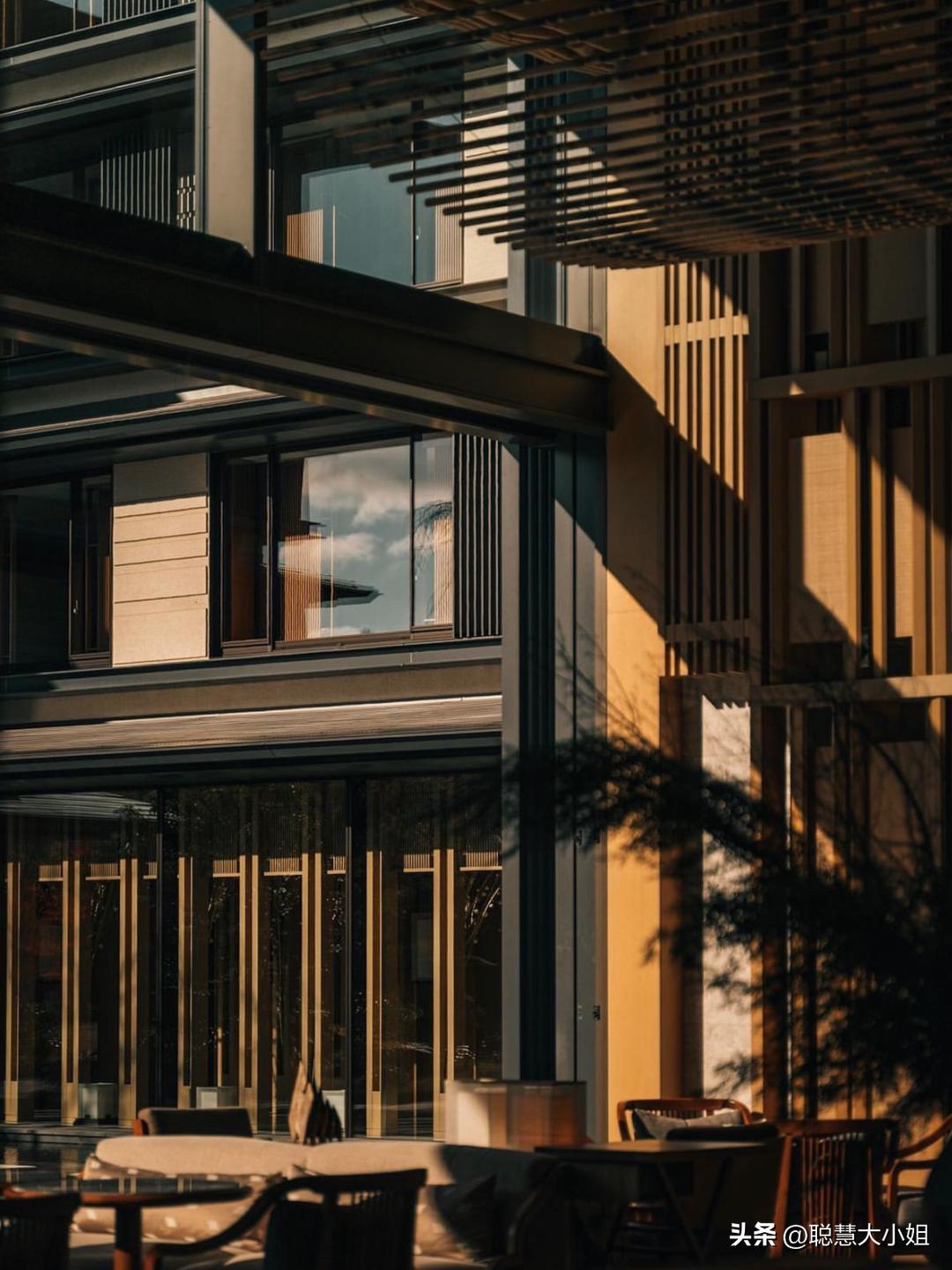 日本樱花花海浪漫之旅,日本旅游看樱花之旅攻略