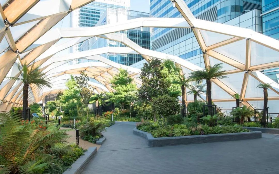 屋顶适合建设哪种绿色屋顶,绿色屋顶建筑