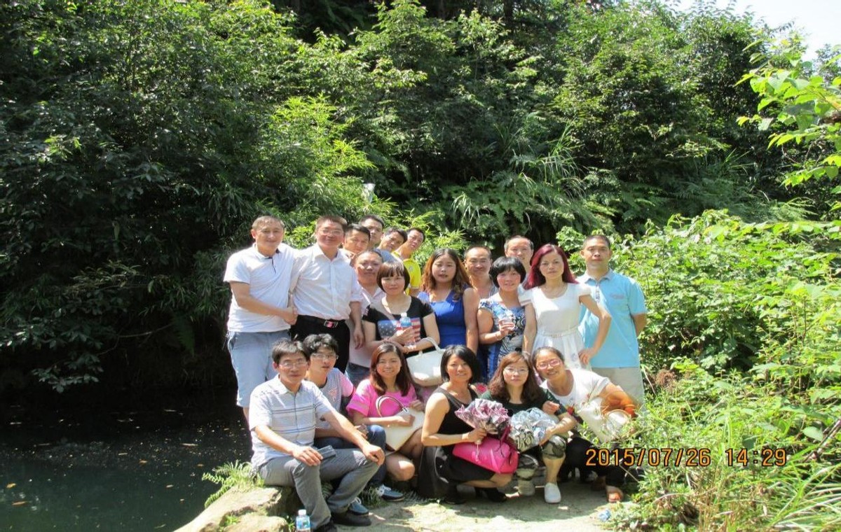 忆起那些年：师范母校，梧桐花开