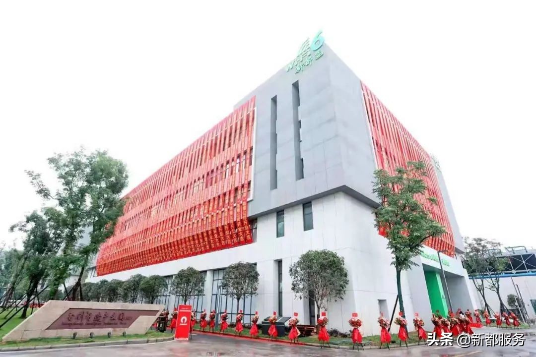 新都发展最好的地方,新都什么路练车比较合适