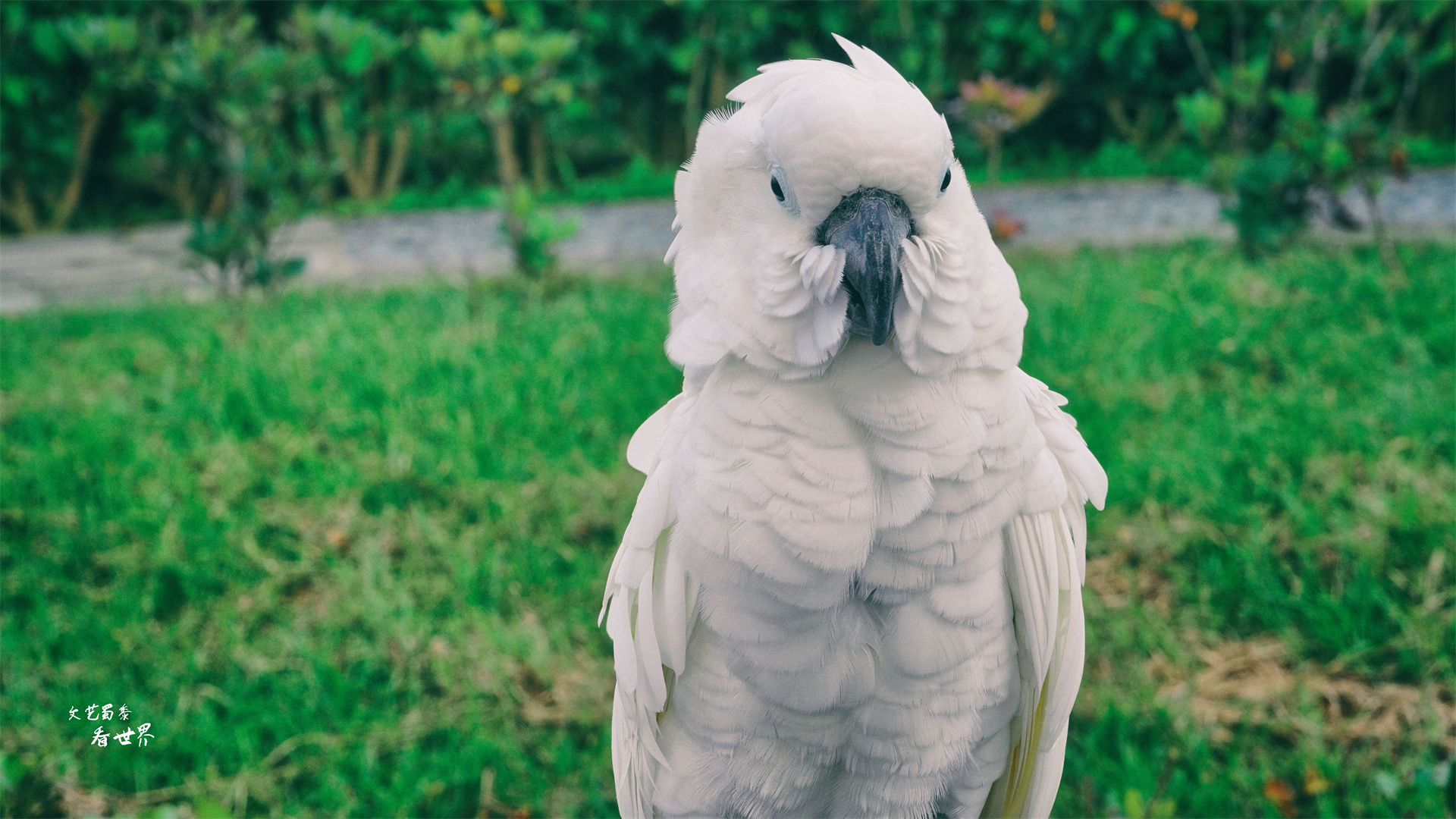 台湾最美十大美景,台湾景色最美的地方