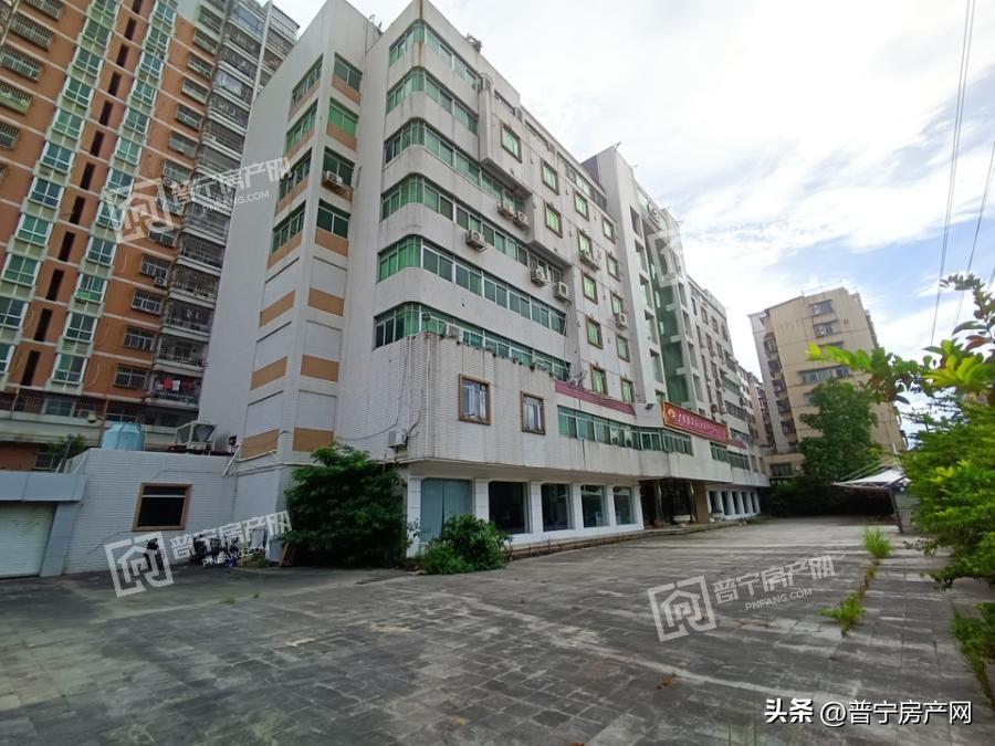 康美实业大楼拍卖谁拍到,康美实业大楼拍卖