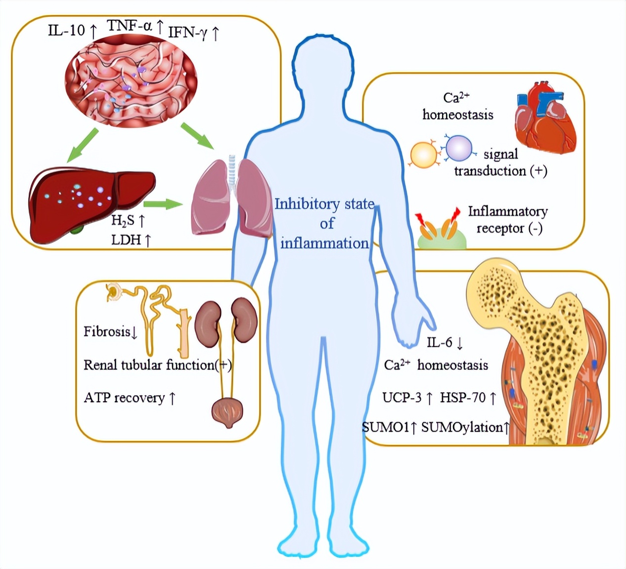 脊髓损伤后遗症治疗突破性变革,脊髓损伤康复最新研究