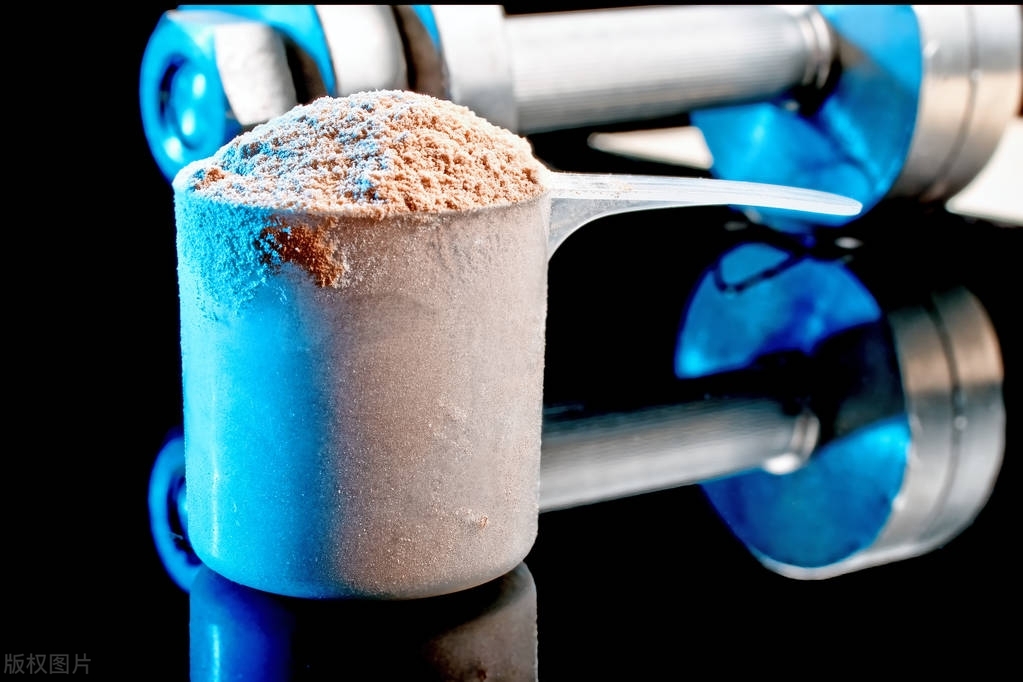 健身减脂常用的几种补剂及其功效 (健身补剂谷氨酰胺可以调理肠胃吗)