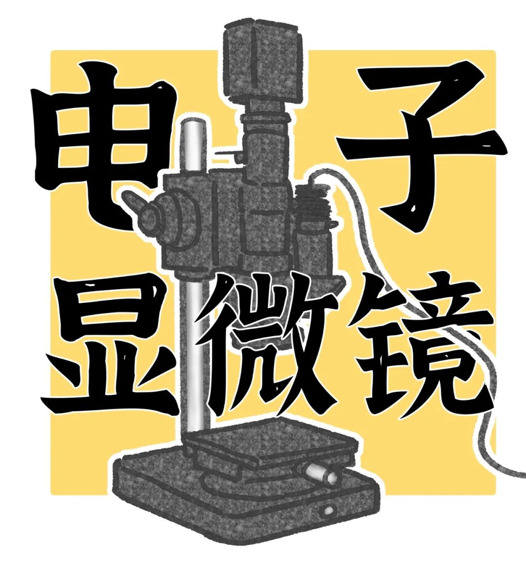 养猫卖宠物用品变现,养猫注意事项和骗局