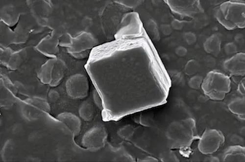 为什么工人要往水泥里加糖涨知识,建筑工人为何水泥里面加白糖