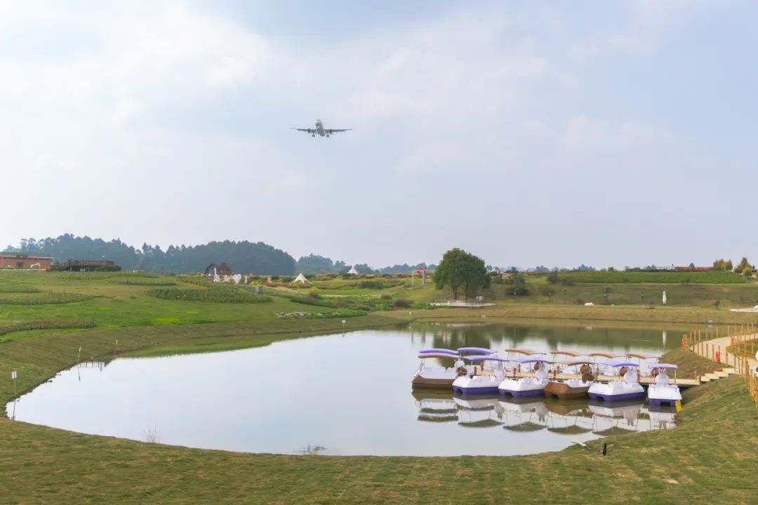 踏青露营地推荐,空港花田古朴森林露营地