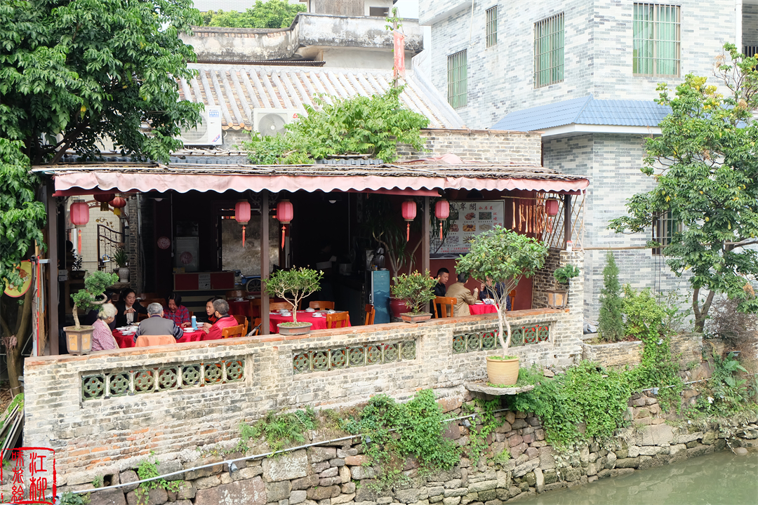 古村探寻｜广东佛山顺德一日打卡杏坛镇两个岭南水乡