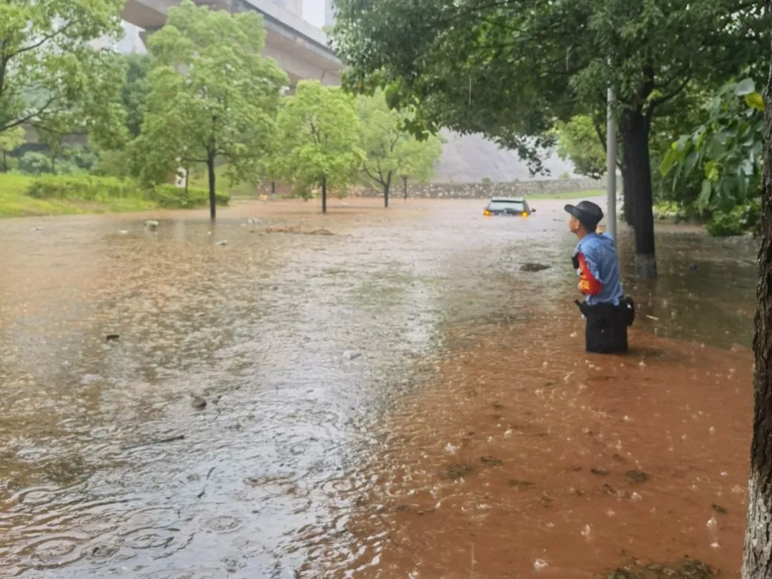 暴雨中最美的背影音乐,暴雨中的最美身影800字
