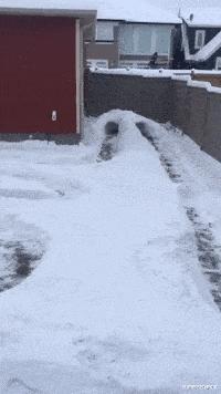 想要知道商品价格用什么扫,你想知道你是什么消费群体吗