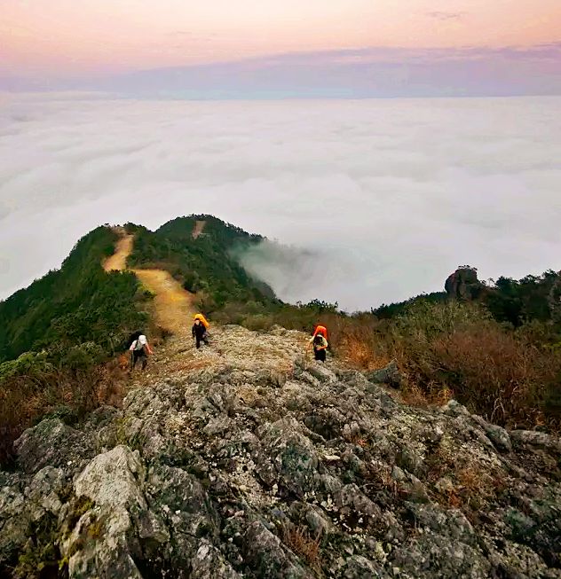 亲近春天，爬山正当时！温州这些绝美山峰快快约起！