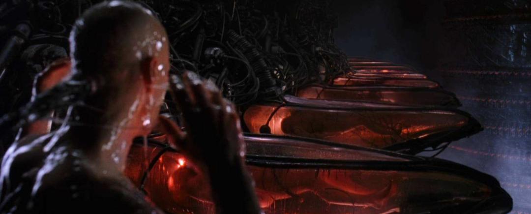 夜读：在妥协社会中，痛苦是一场奔赴新事物的征程