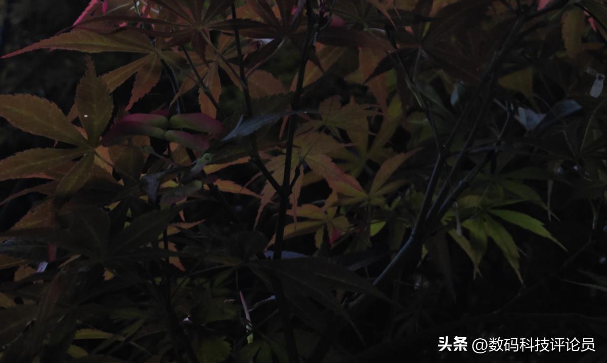 超微距镜头小米13ultra,超越小米13ultra影像