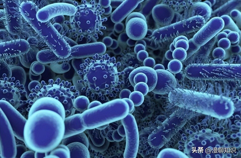 马传染性子宫炎传染性较强，它的传播途径有哪些