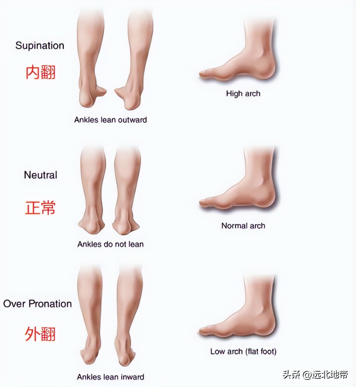 跑步两年的感悟说说,奔跑伤感说说