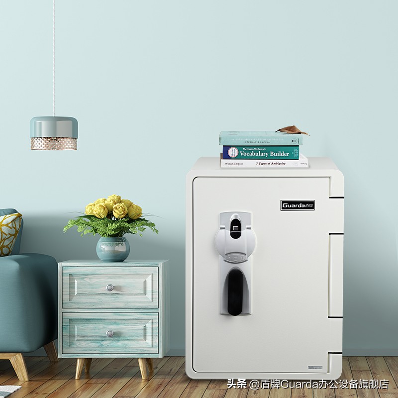 毫不夸张！有了它，财物储存还担心安全隐患吗？