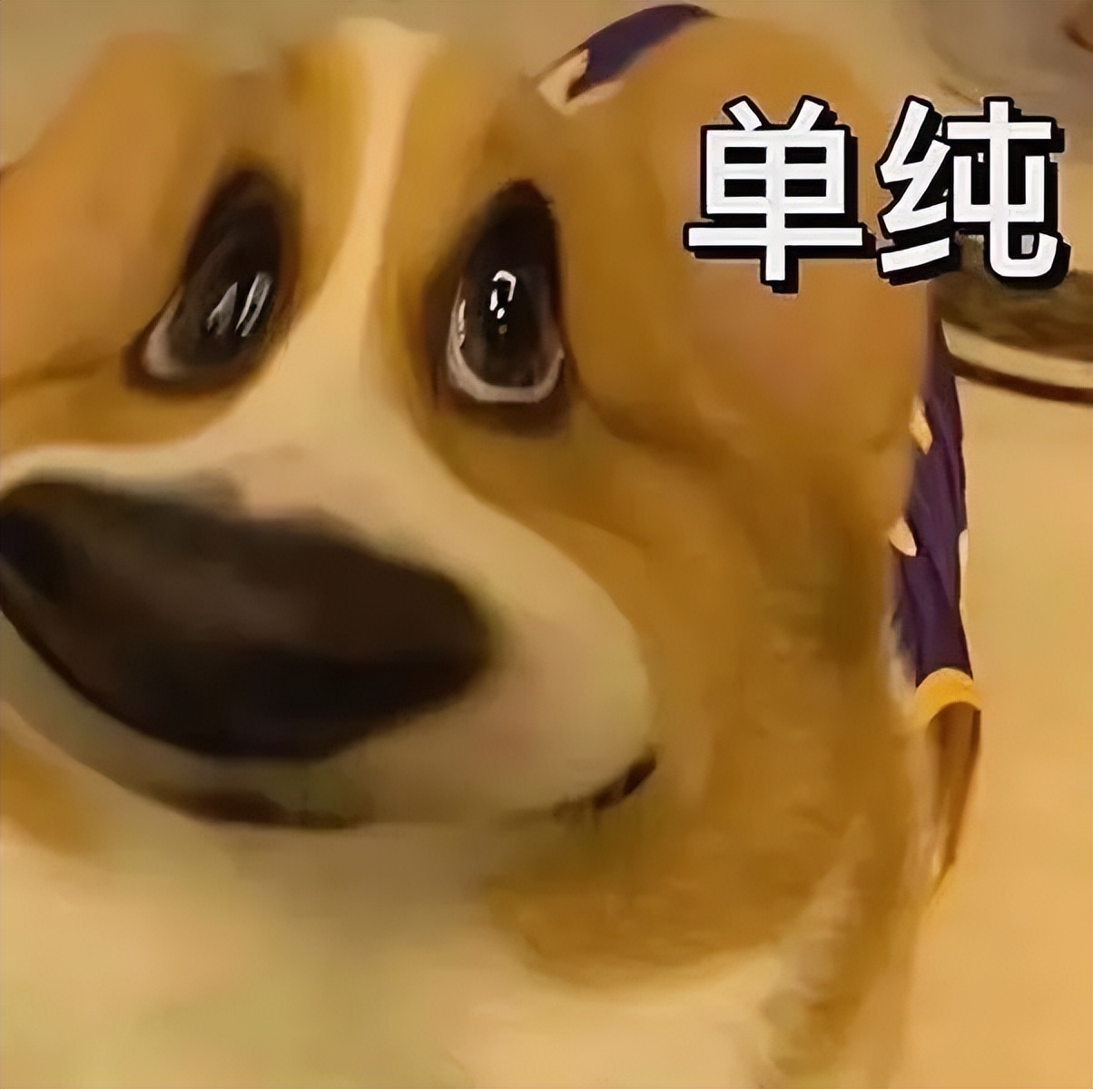 闅斿鍙嬪晢,灏忕背褰卞儚鏃楄埌