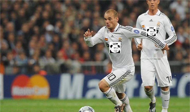 无冕之王荷兰队什么意思,斯内德荷兰阵容