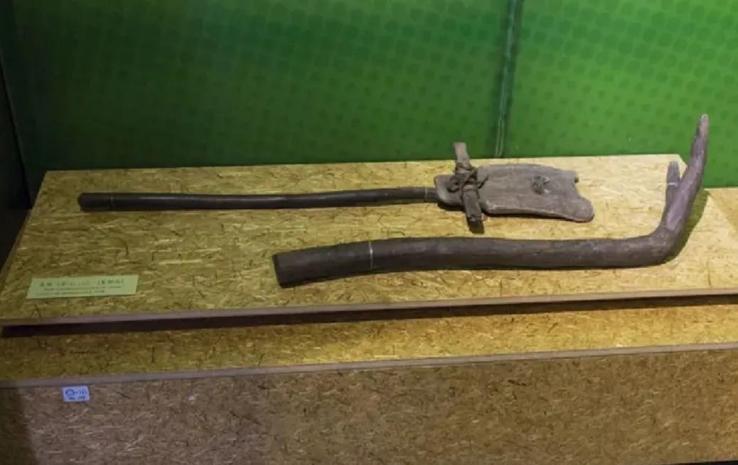 原始人钻木取火的真实影像,原始人钻木取火怎么画