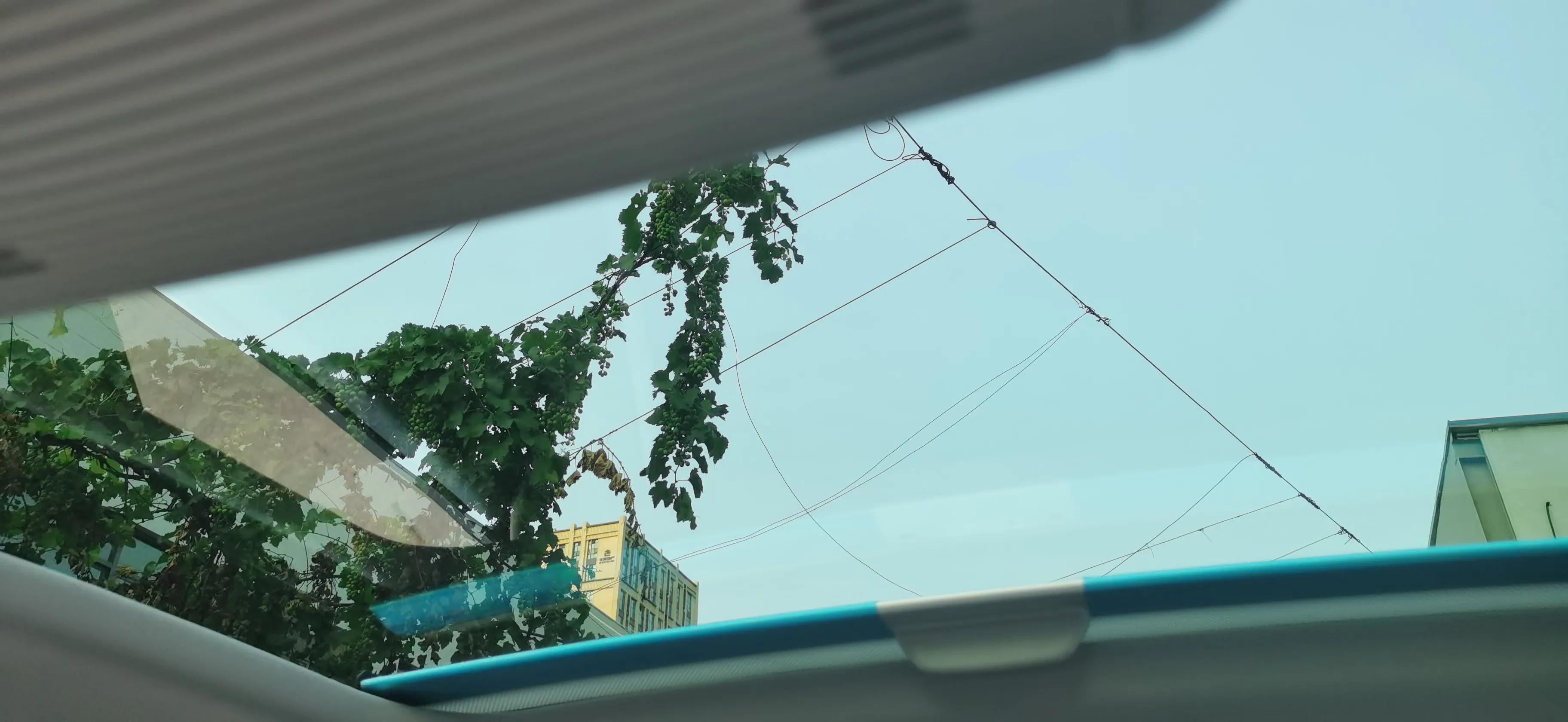 凌渡2022款凌渡l280tsi超辣旗舰版,凌渡2023款280tsidsg炫辣版