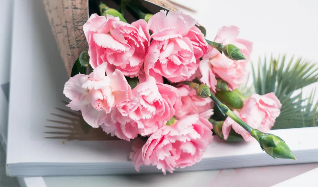 有人说小孩太烦了该怎么回答,你觉得你烦不烦应该咋回答