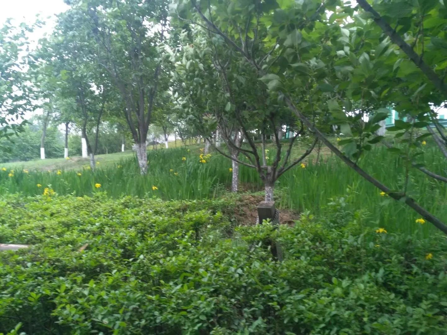 你对秦腔戏曲有什么新的认识,秦腔语言鉴赏札记