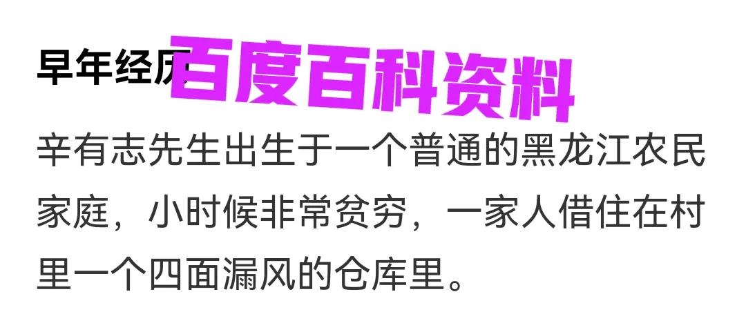 辛巴一天能挣1000万是真的吗,辛巴一天挣13亿