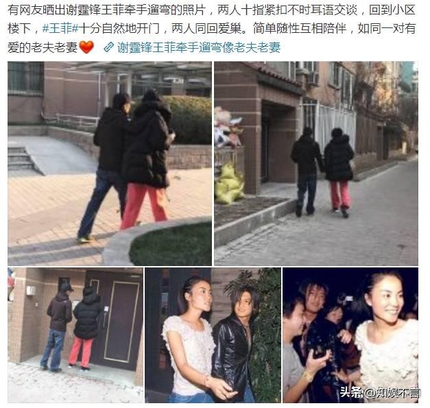 王菲谢霆锋详细相恋过程,王菲和谢霆锋是相差几岁的姐弟恋