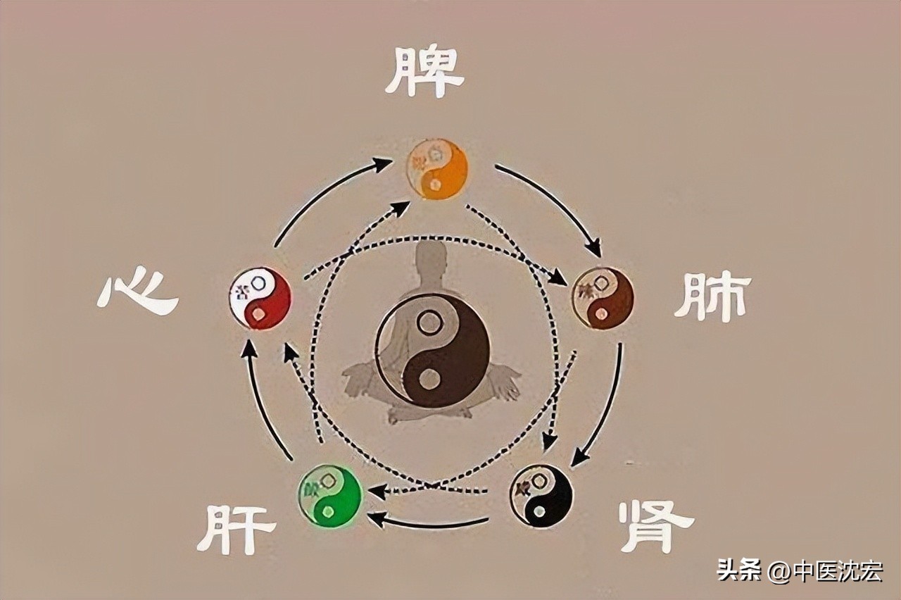 脾虚湿气重6味药帮您改善,脾虚湿气重6味药帮你改善