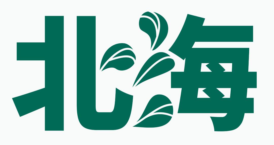 千年古树百年茶,千年古树野生茶1000克珍藏品