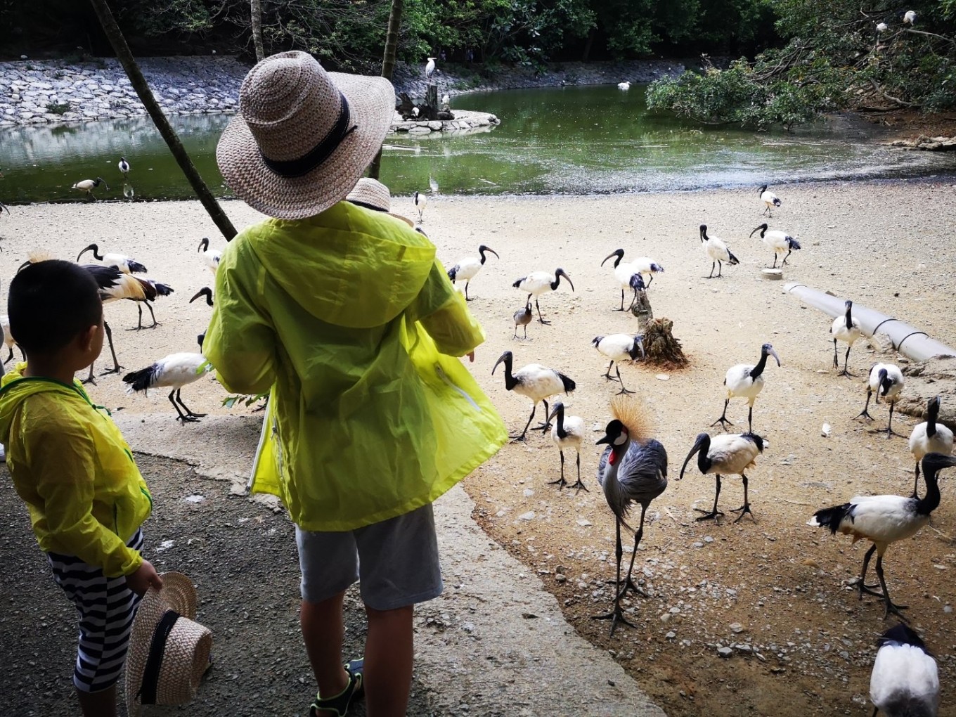 暑期档2019年,2019年暑期档