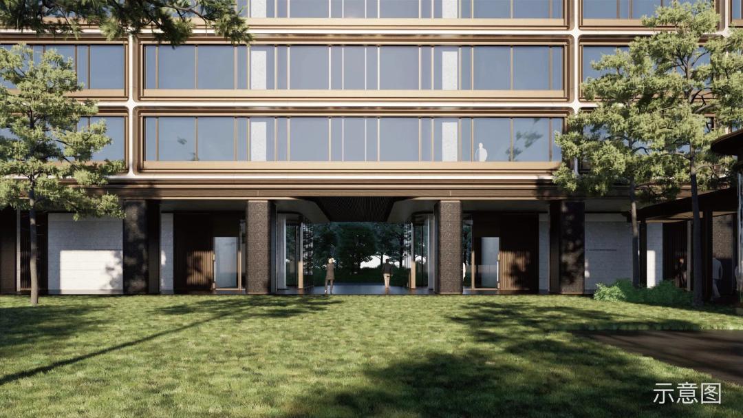 获利千万的黄金坑，还是高位陷阱？