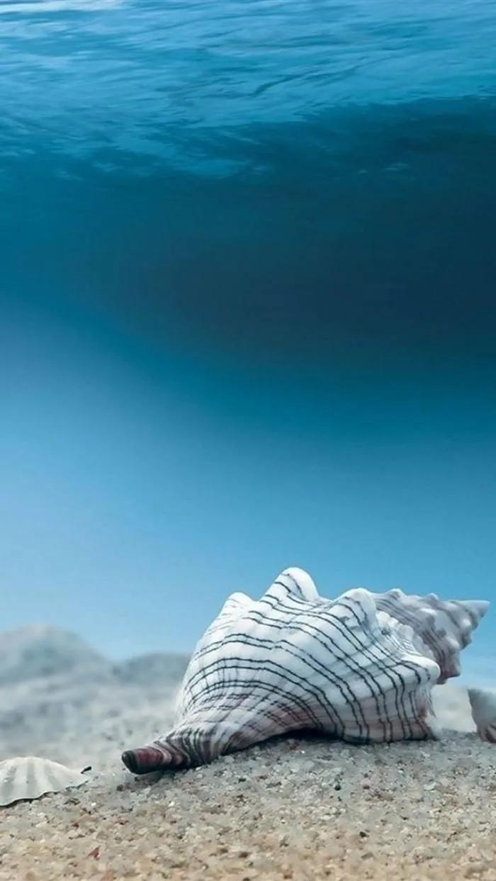 蓝色海景壁纸图片大全,海景壁纸4k超清全面屏