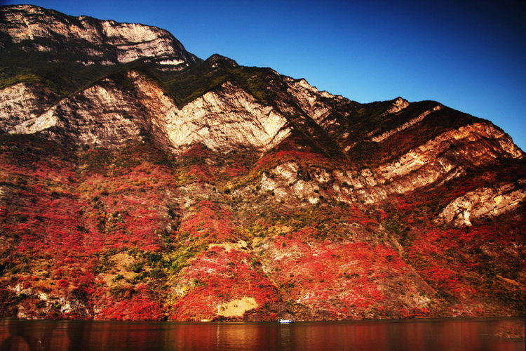 廿万公里六章，要看两岸猿声啼不住，只需要在大昌古镇150元租船