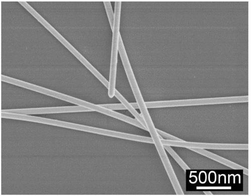 铜基铜铁矿材料，它在透明导电性研究及掺杂对热导率的影响如何？