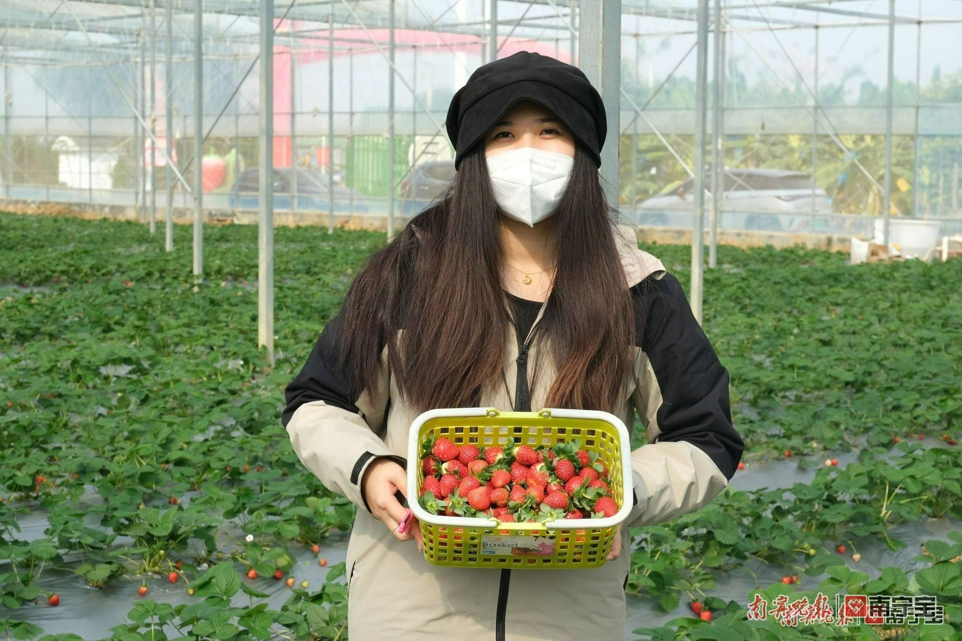 冬游广西优惠,南宁春冬旅游半价