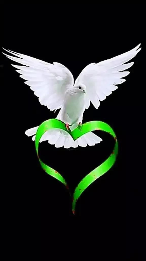 箭穿心形图片,漂亮心形头像图片