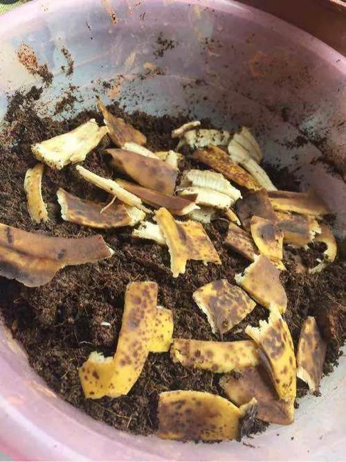 实用生活小技巧解决日常烦恼,日常生活小常识轻松解决