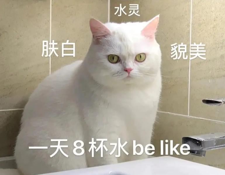 反复喝水真的可以缓解感冒症状吗,多喝水为什么有利于治疗感冒