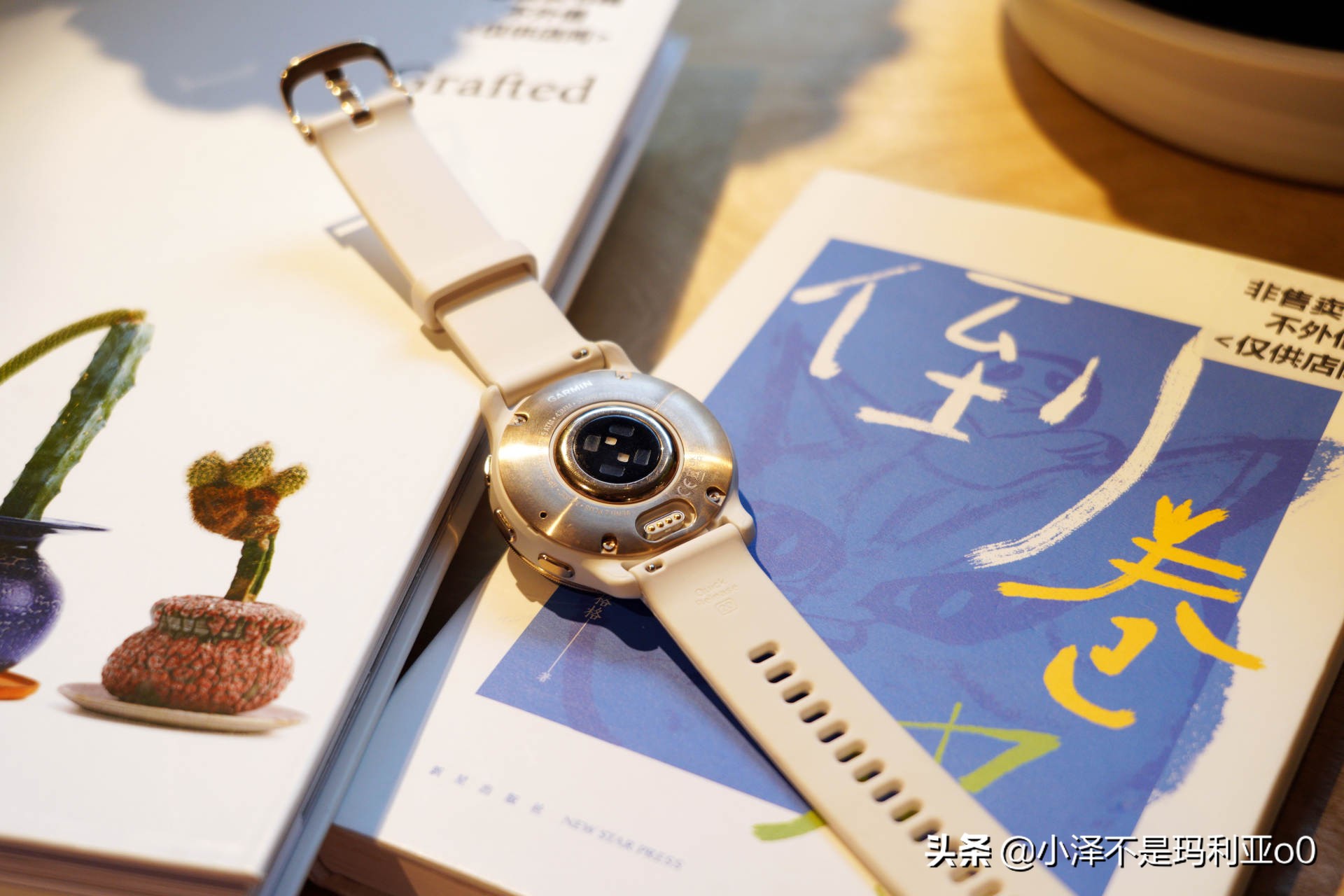 佳明venu2plus和苹果watch8怎么选 (买佳明5还是买applewatch2)