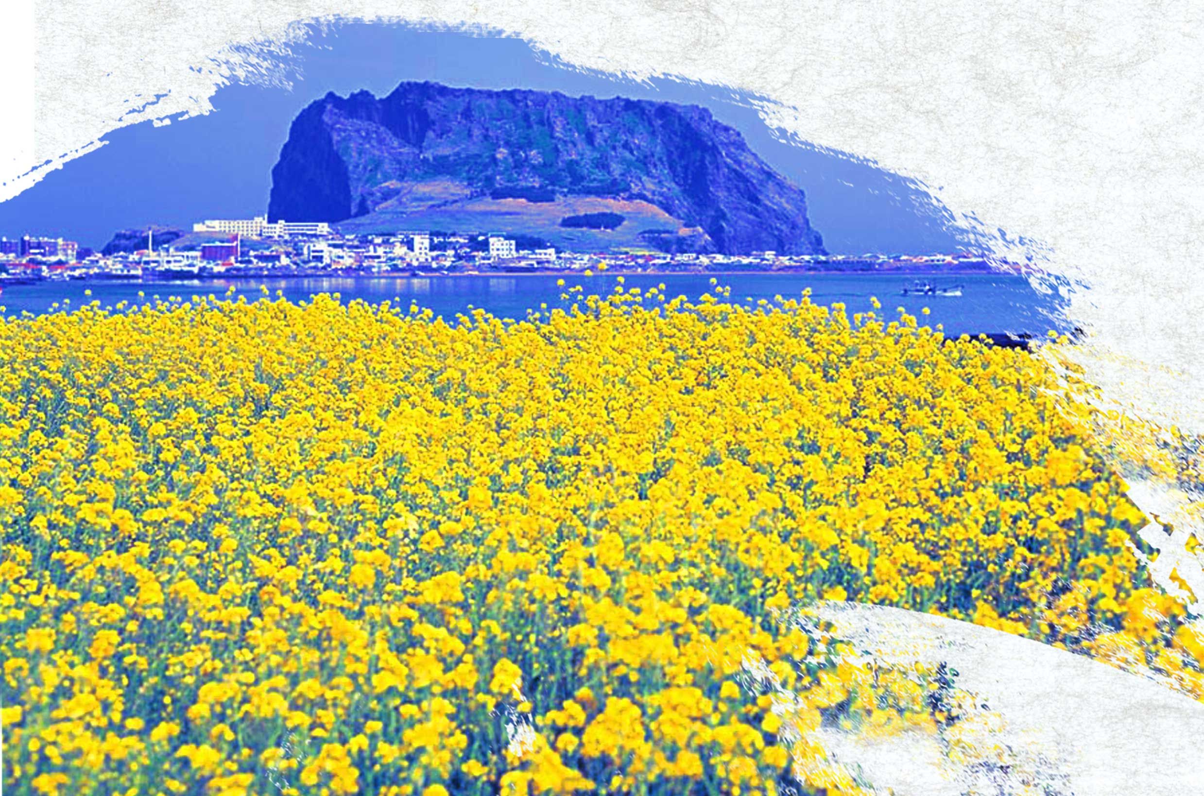 韩国到中国快递公司,韩国化妆品寄快递到中国多少钱