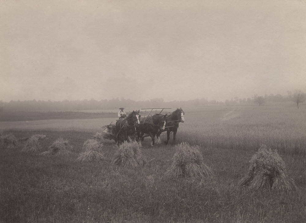为什么巴西足球人才那么多,巴西为什么足球那么厉害