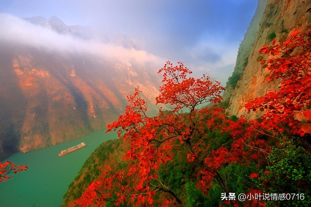 不会说话怎么快速提高表达能力,反应慢嘴笨表达能力差看什么科室