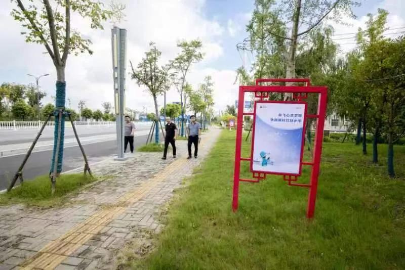 射阳湖镇招商规划,射阳招商引资大项目