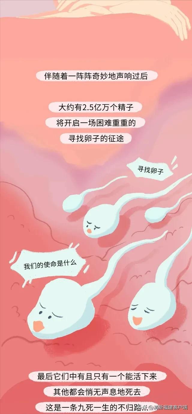 漫画专题丨这就是精子进入女性体内的全过程,太神奇了